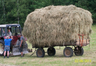 Traktor med stort læs hø, tre personer arbejder på marken nær Feather Down Hohenwarter Seehof i Thüringen.
