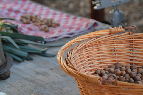 Cesta con nueces sobre mesa de madera, verduras y nueces en un paño, en parque vacacional de Turingia.