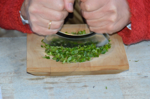 Persona picando hierbas frescas verdes con un cuchillo mezzaluna sobre tabla en Hohenwarter Seehof, Turingia.