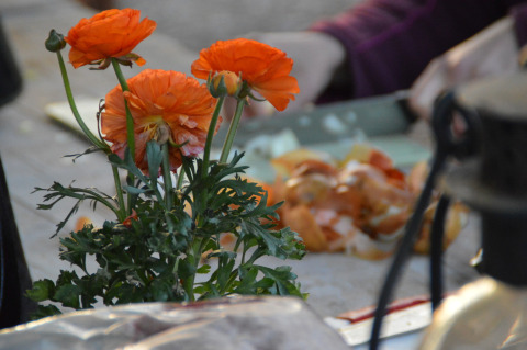 Flores naranjas con hojas verdes en primer plano y personas pelando verduras en Feather Down Hohenwarter Seehof.