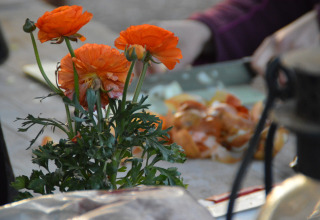 Orange blomster med grønne blade foran en baggrund af folk, der skræller grøntsager på Feather Down Hohenwarter Seehof.