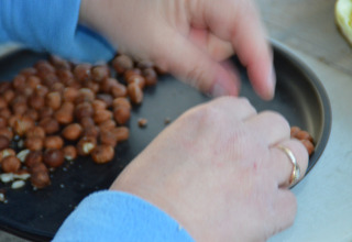 Hands sorting nuts on a tray, possibly taken at Feather Down Hohenwarter Seehof holiday park in Thuringia, Germany.