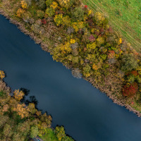 Vista aérea de un río con árboles otoñales y campos verdes cerca de Altenbeuthen, en Turingia, Alemania.