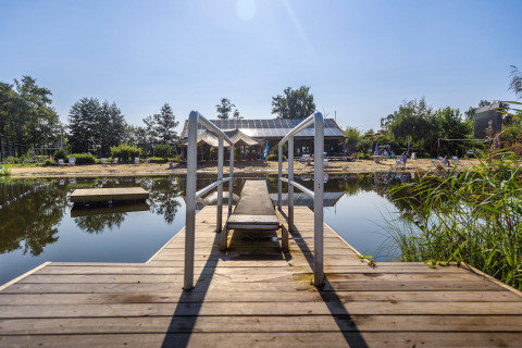 Pontile di legno verso uno stagno balneabile al Camping Papillon, giornata soleggiata in Limburgo, Belgio.