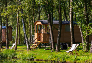 Cabañas de madera junto a un lago en bosque cerca de Kinrooi, Limburgo belga, con tumbonas en el césped.