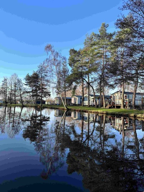 Lago tranquilo refleja árboles y cabañas de vacaciones bajo un cielo azul en Camping Papillon, Limburgo, Bélgica.