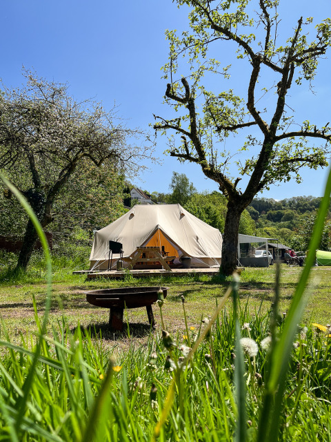 Tenda Tipi in campeggio verdeggiante, circondata da alberi sotto un cielo azzurro limpido estivo.