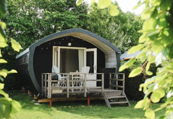 Cabina Cocon a 7Huizen aan Zee nei Paesi Bassi, circondata da alberi e vegetazione in una giornata di sole.