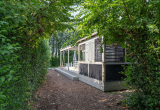 Vista esterna dei Lodge 1 e 4 a 7Huizen aan Zee nei Paesi Bassi, circondati da alberi verdi rigogliosi.