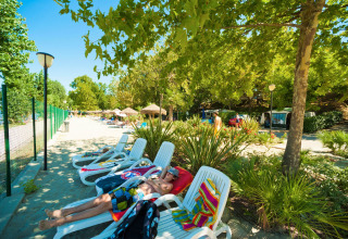 Gæster slapper af på liggestole under træer på Camping Cisano/San Vito i Veneto, Italien, en solrig dag.