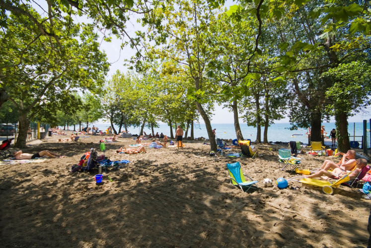 People relaxing under tree shade on the sandy beach at Camping Cisano/San Vito, Veneto, Italy.