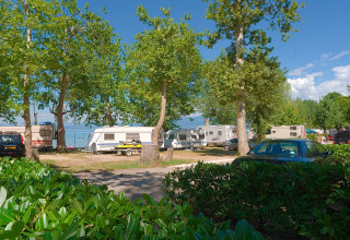 Camper e auto all’ombra degli alberi al Camping Cisano/San Vito, parco vacanze in Veneto, Italia.
