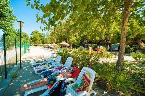 Vacacionistas descansan en tumbonas bajo árboles en Camping Cisano/San Vito, Véneto, Italia, en un día soleado.