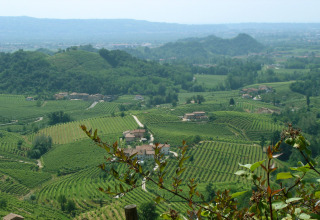 Vista panoramica sui vigneti e colline verdi vicino al Camping Pra'delle Torri in Veneto, Italia, in una giornata soleggiata.