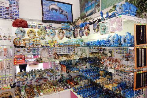 Tienda de souvenirs en Camping Pra'delle Torri, Véneto, Italia, con figuras, recuerdos y bisutería variada.