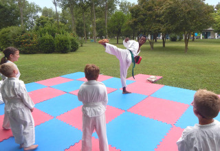 Bambini imparano arti marziali all'aperto mentre un istruttore dimostra un calcio a Camping Pra'delle Torri, Veneto.