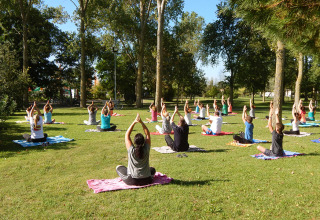 Gruppe mennesker laver yoga på græsset under træerne i Camping Pra'delle Torri, Veneto, Italien.