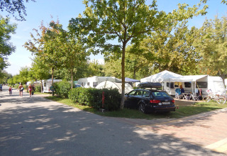 Campeggio con roulotte, auto e biciclette sotto gli alberi al Camping Pra’delle Torri, Veneto, Italia.
