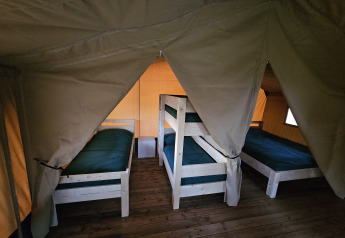 Intérieur tente safari avec quatre lits sur plancher bois à The HappyFarm, aux Pays-Bas, ambiance cosy.