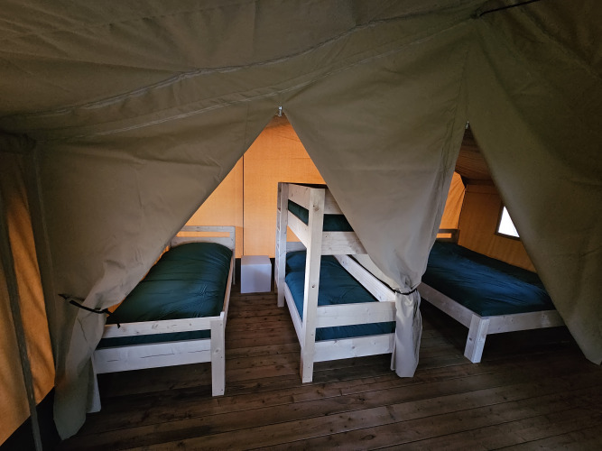 Interieur van safaritent met vier bedden en houten vloer bij The HappyFarm in Nederland, gezellige sfeer.