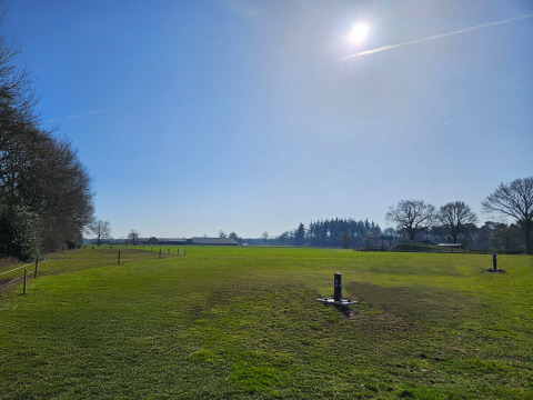 Zonnig grasveld bij The HappyFarm in Nederland, met bomen, groen gras en een heldere blauwe lucht.