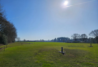 Zonnige wei bij The HappyFarm in Nederland, met groene grasmat, bomen en een blauwe hemel erboven.