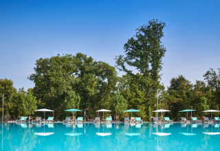 Stort swimmingpoolområde med liggestole og parasoller, omgivet af frodige træer i Camping Park Umag.
