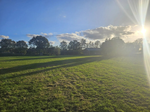 Sunny day at The HappyFarm holiday park in Gelderland, Netherlands, with grassy fields and trees in view.