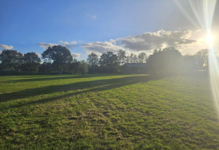 Sunny day at The HappyFarm holiday park in Gelderland, Netherlands, with grassy fields and trees in view.