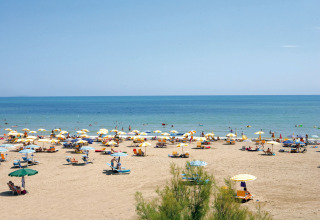 Strand med gule og hvide parasoller og gæster ved Camping Union Lido Mare i Veneto, Italien, på en solrig dag.