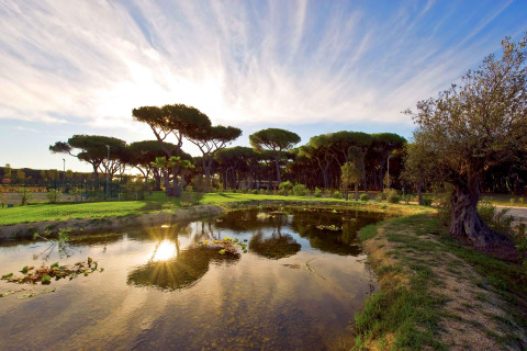 Sunset shining over a pond with pine trees at Camping Village Roma Capitol holiday park in Tuscany, Italy.