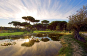 Tramonto su stagno e pini a Camping Village Roma Capitol, parco vacanze in Toscana, Italia.