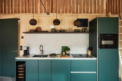 Modern tiny kitchen at Unbrick One | Sauna in Brinckerduyn, Netherlands, with green cabinets and wood walls.