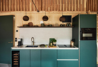 Modern tiny kitchen at Unbrick One | Sauna in Brinckerduyn, Netherlands, with green cabinets and wood walls.