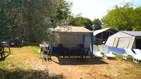 Campingplatz in Istrien, Kroatien, mit Zelten, Sonnenliegen und Gartenmöbeln unter Bäumen im Sommer.