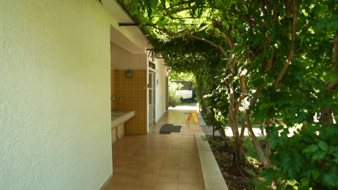 Shaded walkway with green trees and tiles at Camping Zelena Laguna holiday park in Istria, Croatia.