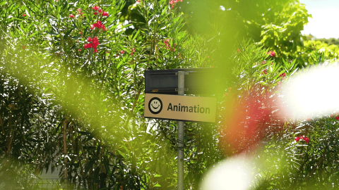 Sign at Camping Zelena Laguna, Istria, Croatia, pointing to the animation area surrounded by greenery.