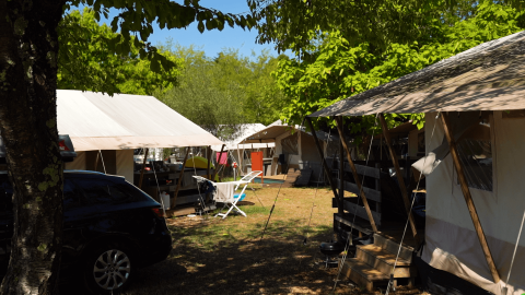 Zelte und Autos im Schatten der Bäume auf dem Campingplatz Zelena Laguna in Istrien, Kroatien.