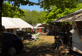 Tende e auto all’ombra degli alberi al Camping Zelena Laguna, parco vacanze in Istria, Croazia.