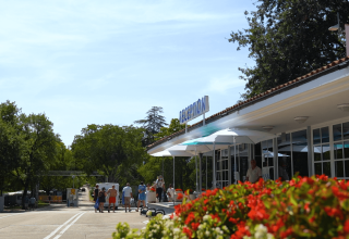 Folk ankommer til receptionen ved Camping Zelena Laguna i Istrien, Kroatien, omgivet af blomster og træer.