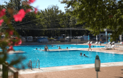 Udendørs swimmingpool med gæster og solsenge på Camping Bijela Uvala, en feriepark i Istrien, Kroatien.