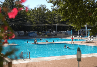 Udendørs swimmingpool med gæster og solsenge på Camping Bijela Uvala, en feriepark i Istrien, Kroatien.