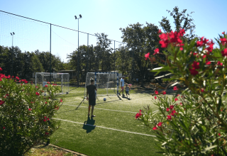 Børn og voksne spiller fodbold på en grøn bane omgivet af blomstrende buske ved Camping Bijela Uvala.
