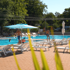 Piscine extérieure avec transats, parasols et vacanciers au Camping Bijela Uvala, Istrie, Croatie.