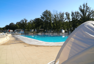 Piscina all'aperto al Camping Bijela Uvala, villaggio vacanze in Istria, Croazia, circondata da lettini e alberi.