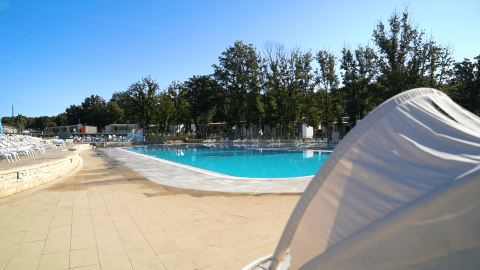 Piscine extérieure au camping Bijela Uvala en Istrie, Croatie, entourée de chaises longues et d'arbres verts.
