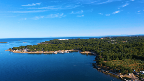 Vista aérea de Camping Bijela Uvala en Istria, Croacia, mostrando la costa boscosa y el mar azul.