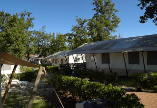 Række af telte omgivet af grønne buske og træer på Camping Bijela Uvala feriepark i Istrien, Kroatien.