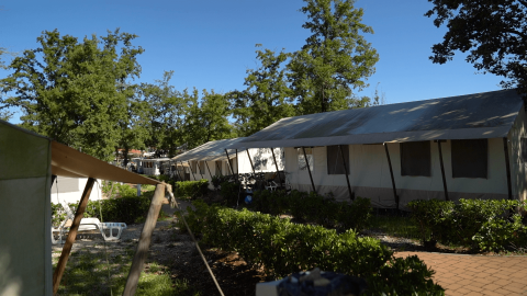 Row of tents surrounded by greenery at Camping Bijela Uvala holiday park, Istria, Croatia, on a sunny day.