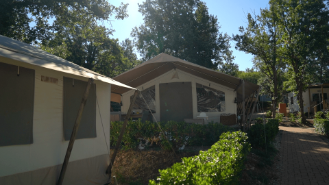 Zelte und Hauptgebäude im Schatten von Bäumen im Camping Bijela Uvala Ferienpark in Istrien, Kroatien.
